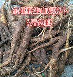 山胡萝卜野生沙参东北特产山野菜新鲜绿色蔬菜山地瓜500克