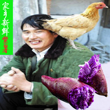 新鲜紫薯番薯紫薯5斤/农家有机特产红薯地瓜绿色蔬菜/红皮小紫薯