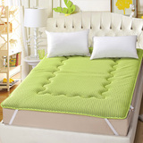 雪貂床垫 天然进口乳胶床垫 席梦思弹簧床垫 1.5m 1.8米椰棕棕垫