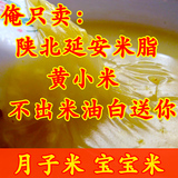 2015新米陕北延安米脂农家黄小米月子米有机小黄米粥陕西特产杂粮
