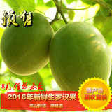 预售2015年桂林永福龙江特产生罗汉果茶 特级新鲜罗汉果1斤免邮