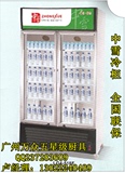 中雪冷柜LG4-618F立式冰柜|风冷双门冷藏展示柜|商用保鲜冰箱冰柜