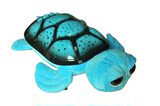 喷油卡通乌龟灯音乐星空投影灯,巴西世界龟，创意玩具礼品