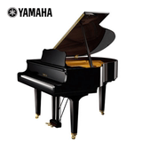 【旺族琴行】雅马哈  YAMAHA 三角钢琴 GN1 PE（只售市内）