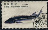 1994－3鲟鱼(4-2) 信销邮票上品