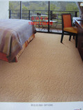 开利地毯满铺卧室家居地毯环保服装商场地毯酒店地毯餐厅地毯环保