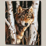 艺绘精品数字油画 丛林狼 客厅书房手绘DIY动物油画家居装饰 包邮