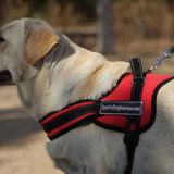 工作犬狗背带 导盲犬舒适牛津布胸背衣 宠物胸带