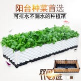 4代/蔬菜种植箱长方形种植槽 特大长条形花盆花槽/阳台种菜盆设备