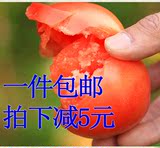 新鲜西红柿有机种植蔬菜洋柿子5斤装志鸿蔬果西安同城配送