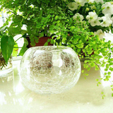 碎冰花圆球形透明水培玻璃缸玻璃花盆器皿鱼肚形花瓶送定植篮绿植