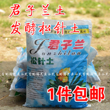 君子兰专用土发酵腐熟松针土橡树叶土腐叶土腐殖土花卉营养土980g