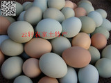 土鸡蛋农家杂粮散养绿壳鸡蛋新鲜纯天然月子食品乌鸡蛋农村土特产