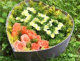 雨馨鲜花预定 杭州雨馨鲜花速递520表白礼盒装玫瑰雏菊花束