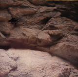 高清水族箱单面背景珊瑚画 立体感岩石画 鱼缸造景贴纸高50cm