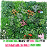 仿真植物墙绿植墙室内外绿色环保背景墙影视墙面立体装饰塑料草坪