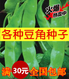 豆角种子东北油豆角紫花油豆种籽将军豆蔬菜高产四季阳台30元包邮
