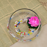 创意水族箱生态圆形玻璃金鱼缸 大号乌龟缸 迷你小型造景水培花瓶