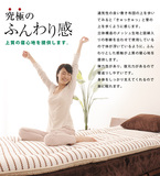 东京包邮代购直送日本制纯棉面料通气抗菌防虫床垫床褥子榻榻米