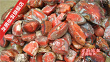 天然 南红玛瑙原石 非洲南红 批发南红雕件料 俏色南红原料 毛料