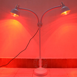 双头红外线理疗灯 立式家用医用美容院用远红外线灯 红外线电烤灯