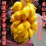 越南进口榴莲蜜小菠萝蜜包邮新鲜热带水果非海南尖蜜拉特产香甜糯