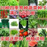 20种四季易播阳台庭院蔬菜种子套餐 青菜花蔬果种子 包邮