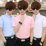 新款韩版修身青年学生商务正装纯色短袖衬衫常规男士外穿打底衬衣