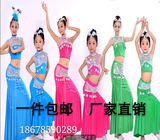 傣族舞蹈演出服装孔雀舞民族服装舞蹈服装女装傣族裙子表演服饰