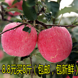 山东烟台 苹果 红富士 水果新鲜 栖霞 8斤8.8元包邮