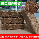 椰壳砖 椰壳块 兰花君子兰铁皮石斛专用 植料营养土促生根 包邮