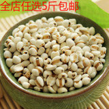 薏米新鲜纯天然薏米仁优质新货薏仁米薏苡仁米五谷杂粮薏米仁500g