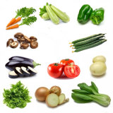 【菜团】新鲜生鲜蔬菜水果蔬菜营养套餐A套餐同城配送