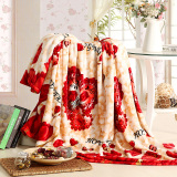法兰绒毛毯单人夏季薄款午休毯双人盖毯珊瑚绒空调毯子双面绒床单