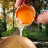 【天天特价】农家散养土鸡蛋当天新鲜纯天然笨鸡蛋月子蛋