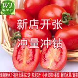海南陵水千禧圣女果樱桃果实发3斤农家小西红柿番茄新鲜水果蔬菜