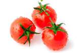 千禧圣女果四川新鲜孕妇水果5斤包邮现摘现发 小西红柿樱桃小番茄