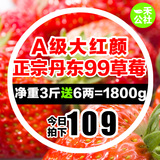 丹东草莓99新鲜水果九九红颜有机草莓马家岗双流久久大牛奶油包邮