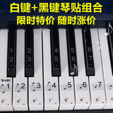 61键54键黑白键组合透明钢琴键盘贴纸电子琴琴贴五线谱简谱键盘贴