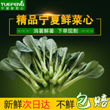 宁夏悦丰农家菜心蔬菜新鲜3斤 广东菜心绿色青菜时令有机蔬菜花