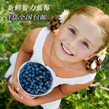 智利进口新鲜蓝莓4盒装（125克/盒）大蓝莓鲜果新鲜水果全国包邮