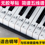 钢琴贴88键 电子琴61键 琴键贴纸 五线谱简谱琴贴