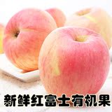 烟台苹果水果新鲜红富士有机10斤包邮75#-80#初级农产品糖心苹果
