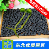 绿芯黑豆 黑龙江农家自产大黑豆非转基因黑豆纯天然青仁乌豆 杂粮