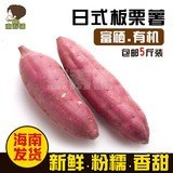 日式板栗薯 海南富硒番薯 新鲜红薯地瓜 超甜粉有机山芋胜紫薯5斤