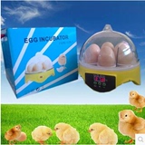 小型mini迷你7枚鸡蛋孵化器全自动微型孵蛋器鸽子家用型孵化箱