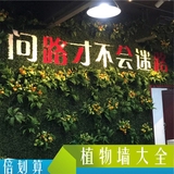 米兰草仿真绿植商场客厅影视植物墙背景装饰假草塑料人造草坪壁挂