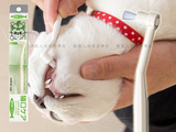 日本Mind up宠物猫用复杂牙齿专用牙刷口腔清洁用品除口臭牙垢渍