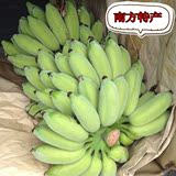 新鲜农家水果米蕉福建玉林粉蕉西贡蕉芭蕉非皇帝香蕉3斤多省包邮
