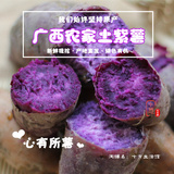 广西紫薯紫心番薯生地瓜 农家土特产现挖新鲜蔬菜粗粮5斤 非红薯